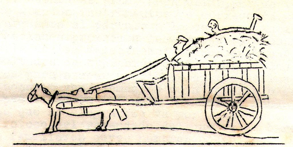 Carro con niño 17